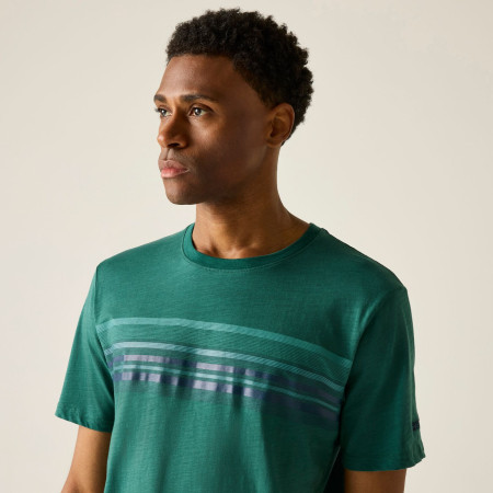 Herren-T-Shirt Regatta Rendro