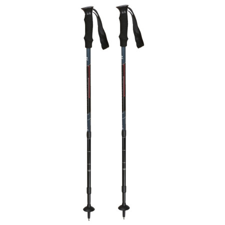 Trekkingstöcke Hannah Antishock schwarz/grau Gray/Anthracite