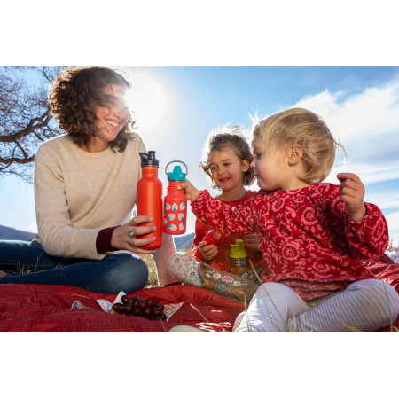 Kindertrinkflasche Klean Kanteen Classic Sippy 355 ml