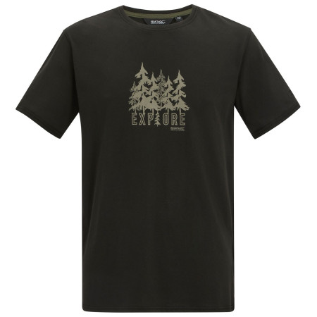 Herren T-Shirt Regatta Cline IX schwarz BlkExplFrst