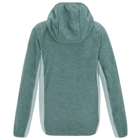 Kinder-Sweatshirt Regatta Skylar IvyMossOMist