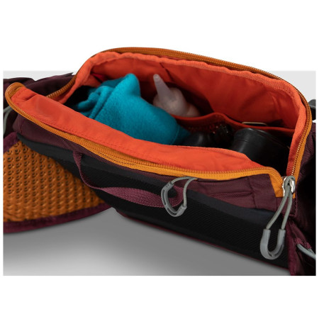 Hüfttasche Osprey Savu 5