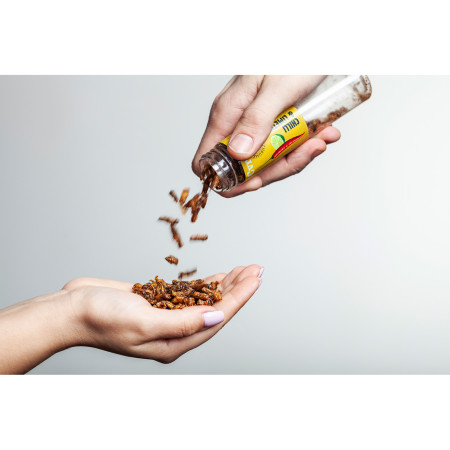 Essbare Grillen Sens Heiße, knusprige und geröstete Grillen - Carolina Reaper