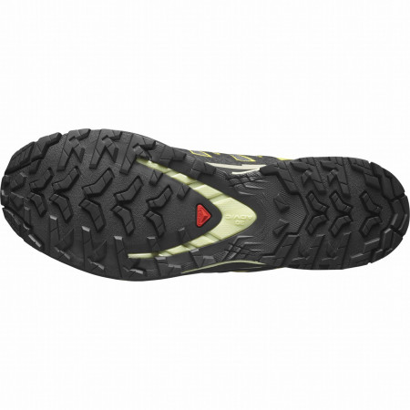 Wanderschuhe Salomon Xa Pro 3D V9 Gore-Tex