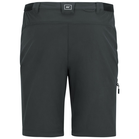 Herrenhose Regatta Anti-Insect Travel Light Z/O Trousers