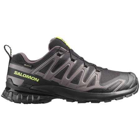 Wanderschuhe Salomon Xa Pro 3D V9 Gore-Tex