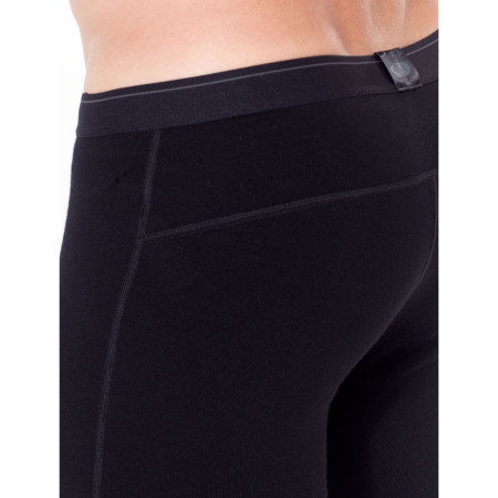 Herreunterhose Icebreaker Mens 260 Tech Leggings