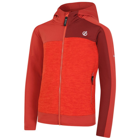 Kinder-Sweatshirt Dare 2b Thriving II Core St