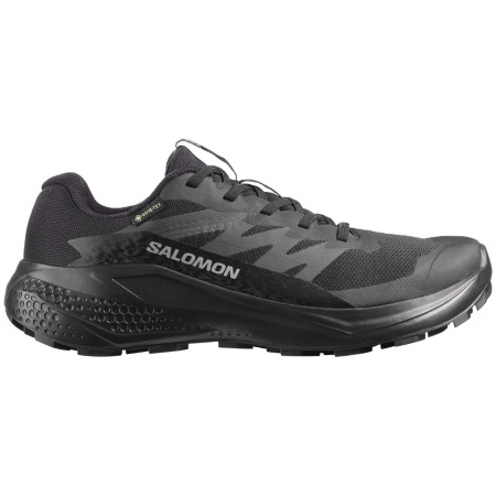 Damenschuhe Salomon Alphaglide Gore-Tex