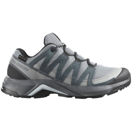 Damen Trekkingschuhe Salomon X-Adventure Recon Gore Tex grau Monument / Turbulence / Ballad Blue
