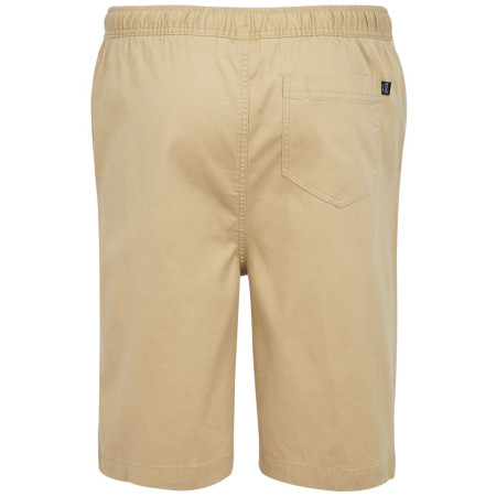 Herrenshorts Regatta Aldan Short