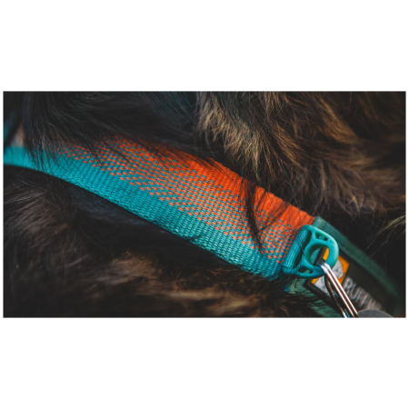 Hundehalsband Ruffwear Front Range™ Collar
