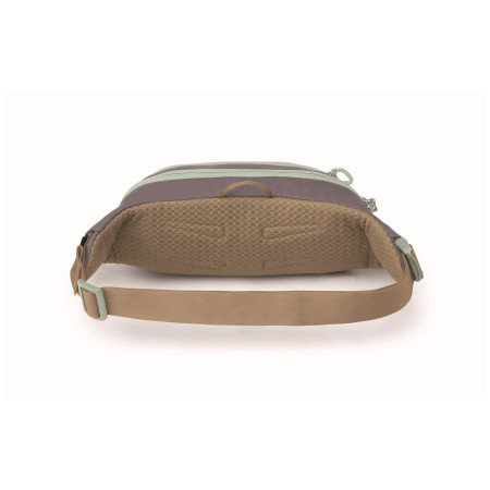 Hüfttasche Osprey Daylite Waist Pack