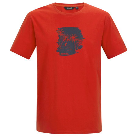 Herren-T-Shirt Regatta Cline IX rot PoppyBchGlid