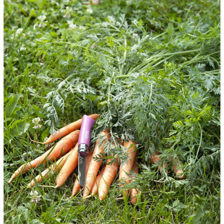 Klappmesser Opinel VR No.07 My first Opinel farbig