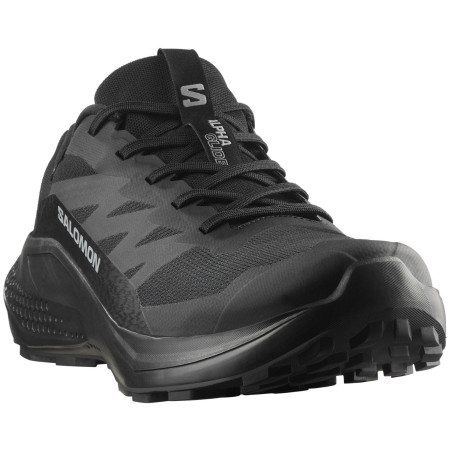 Herren Laufschuhe Salomon Alphaglide Gore-Tex