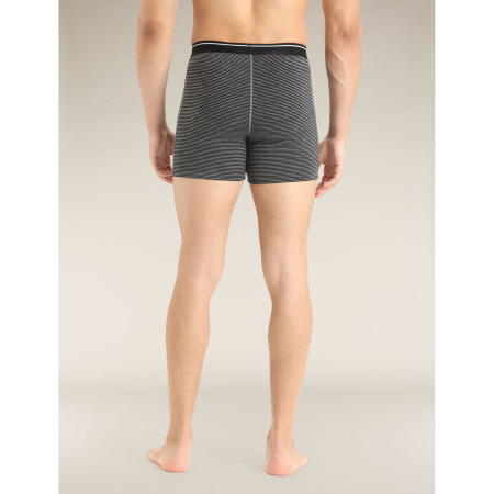 Herren-Boxershorts Icebreaker Mens Anatomica Boxers