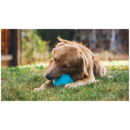 Hundespielzeug Ruffwear Gnawt-a-Rock™ Toy