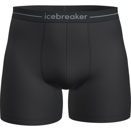 Herren-Boxershorts Icebreaker Mens Anatomica Boxers schwarz/weiß Black