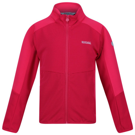 Kinder-Sweatshirt Regatta Jnr Highton FZ II rosa Pink Potion