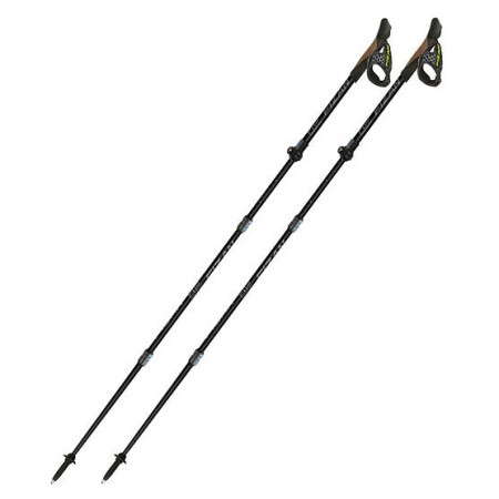 Trail Running Stöcke Fizan RFP Trail/NW schwarz/grau black
