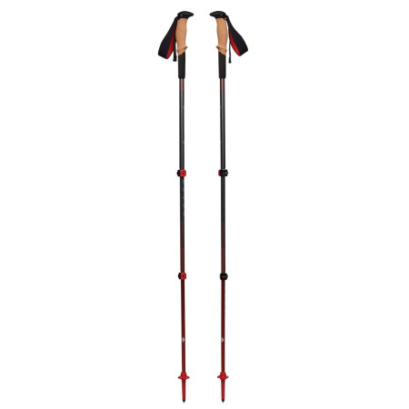 Trekkingstöcke Black Diamond Pursuit Shock Trekking Poles grau/rot Steel Grey-Octane