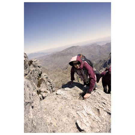 Damenjacke Dare 2b Assert II Jacket