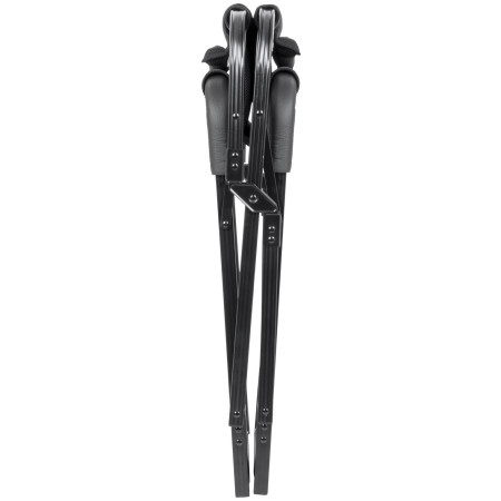 Campingsessel Brunner Aravel Director 3D