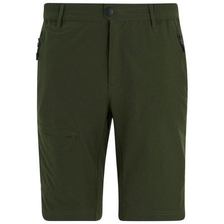 Herrenshorts Regatta Highton Shorts Long II