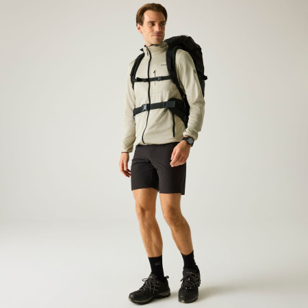 Herren-Sweatshirt Regatta Hillden Midlayer