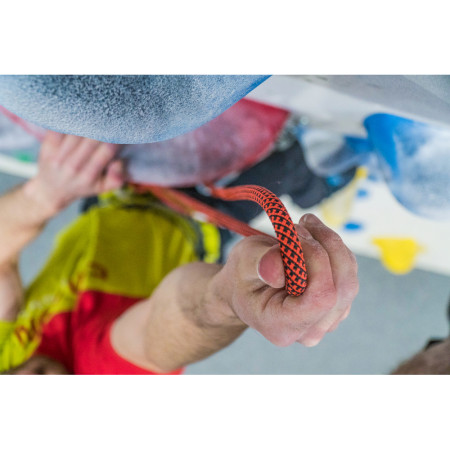 Seil Tendon Indoor 9,8 50m