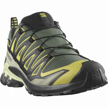 Wanderschuhe Salomon Xa Pro 3D V9 Gore-Tex