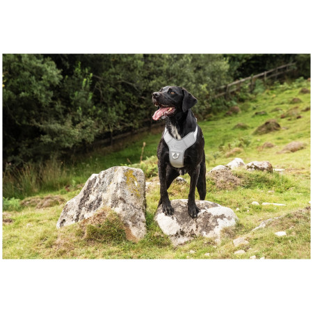 Hundegeschirr Mountain Paws Reflective Dog Harness