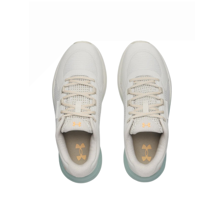Damen Laufschuhe Under Armour W Charged Bandit Tr 3