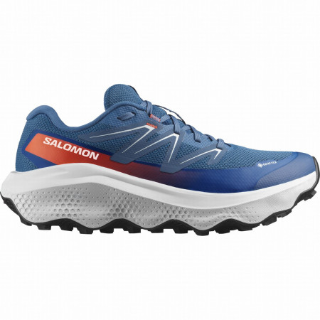 Herrenschuhe Salomon Ultra Flow 2 Gore-Tex