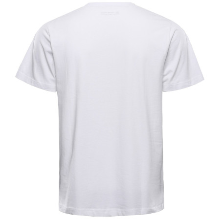 Herren-T-Shirt Alpine Pro Morol