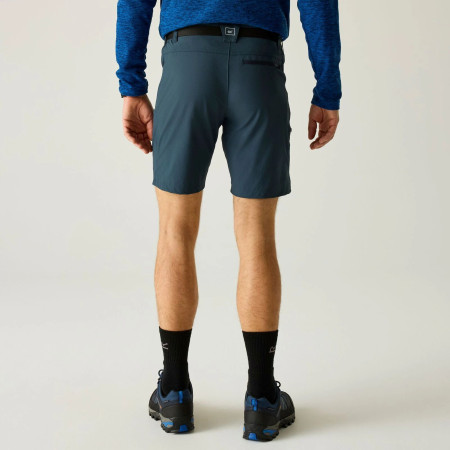 Herrenshorts Regatta Xert Stretch Shorts