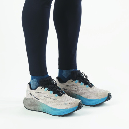 Herrenschuhe Salomon Aero Blaze 4 Grvl Gtx