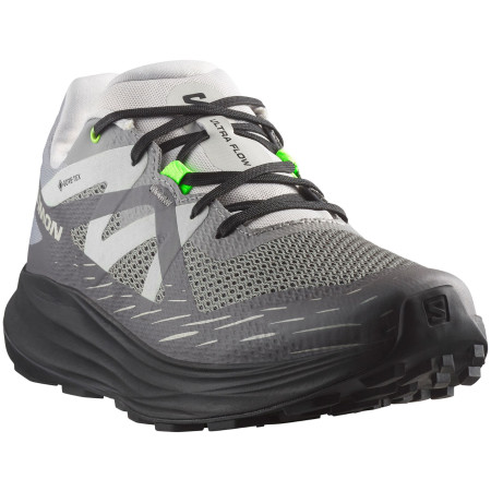 Herren Laufschuhe Salomon Ultra Flow GTX