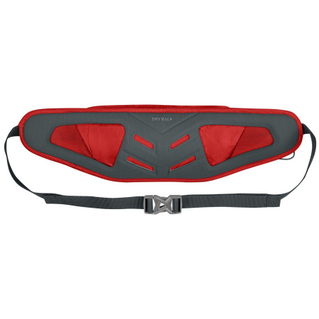 Hüfttasche Salewa Lite Train Hipbelt