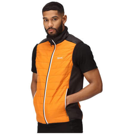 Herrenweste Regatta Halton B/W VII