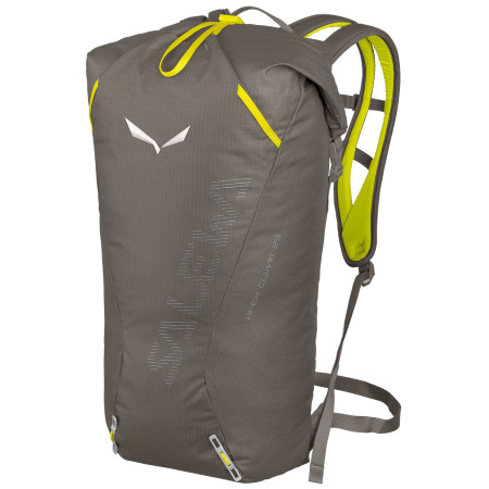 Rucksack Salewa Apex Climb 25 BP (2019) braun Magnet