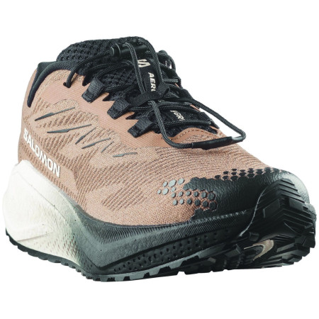 Herrenschuhe Salomon Aero Blaze 4 Grvl
