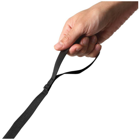 Kinderrucksack LittleLife Toddler Backpack, FF, Dinosaur