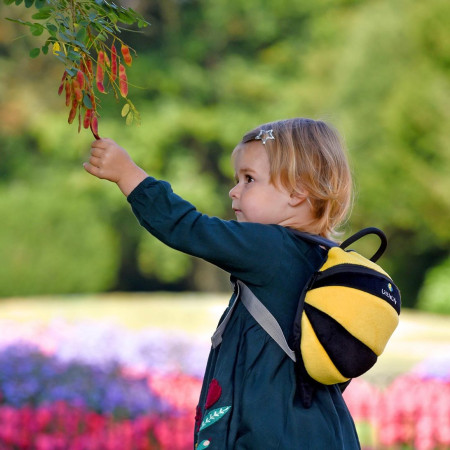 Kinderrucksack LittleLife Toddler Bee