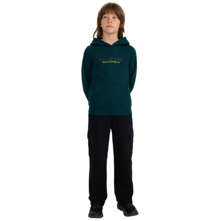 Kinder-Sweatshirt 4F Sweatshirt M1959