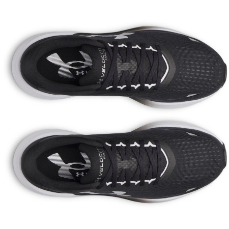 Herren Laufschuhe Under Armour UA Velociti Pace