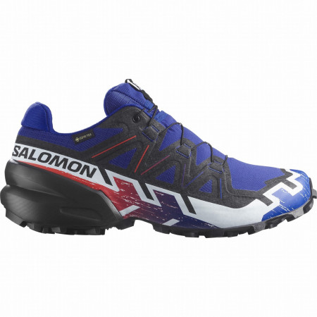 Herrenschuhe Salomon Speedcross 6 Gore-Tex Equipe