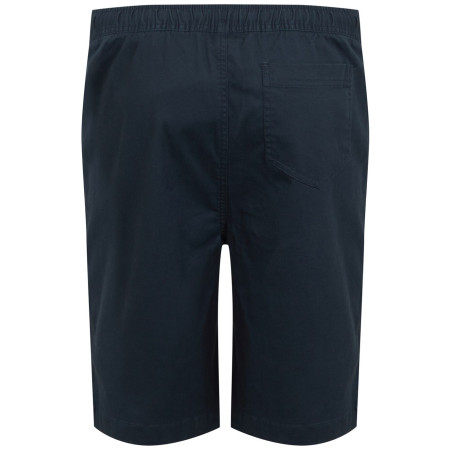 Herrenshorts Regatta Aldan Short
