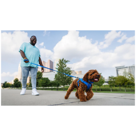 Hundeleine Ruffwear Front Range™ Leash